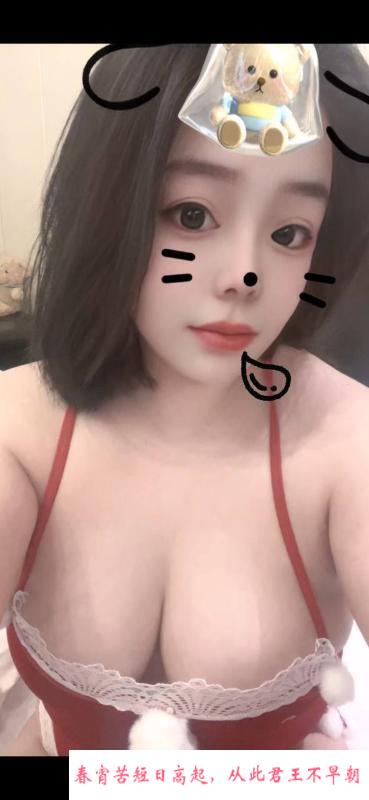 南开小蜜体验 第1张